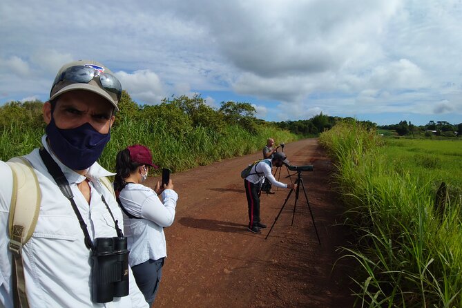 Iguazu Expeditions Morning Birdwatching - Optional Stops