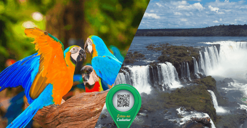 Iguazu Falls and Bird Park: Foz Do Iguaçu - Brazil - Highlights and Experiences