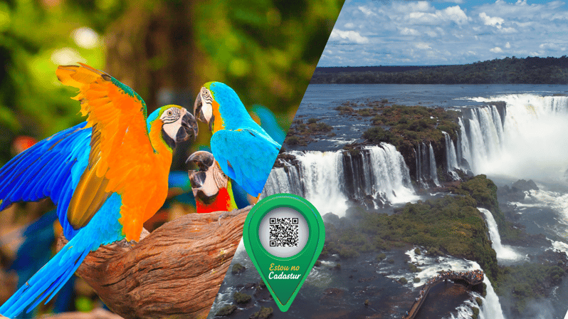 Iguazu Falls and Bird Park: Foz Do Iguaçu - Brazil - Important Information
