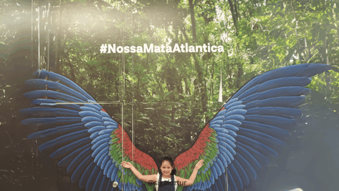 Iguazu Falls and Bird Park: Foz Do Iguaçu - Brazil - Exploring Iguazu Falls