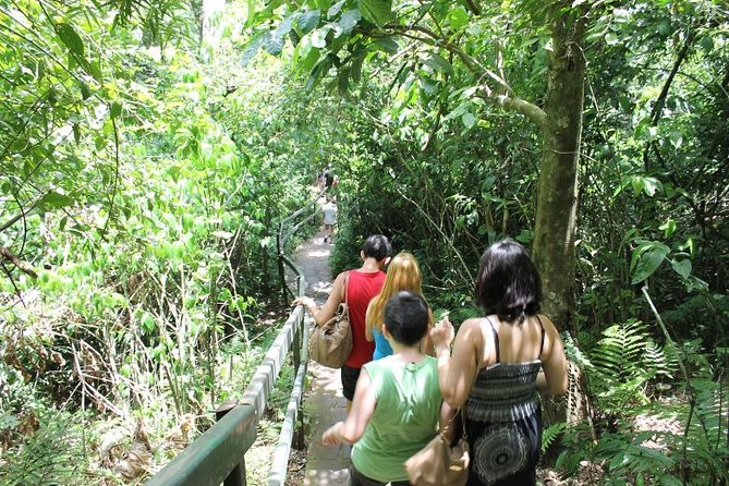 Iguazu Falls: Argentina Side, Boat Ride & City Tour – Private (Also IGU Pick-up) - Customization and Flexibility