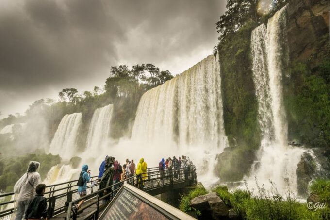 Iguazu Falls: Argentine Side Tour From Puerto Iguazu - What to Bring and Wear