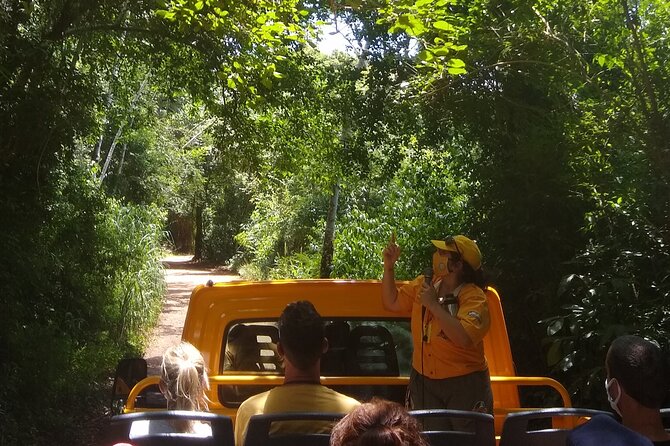 Iguazu Falls: Argentinian Side With Boat Ride, Jungle-Truck and Train - Reviews and Feedback