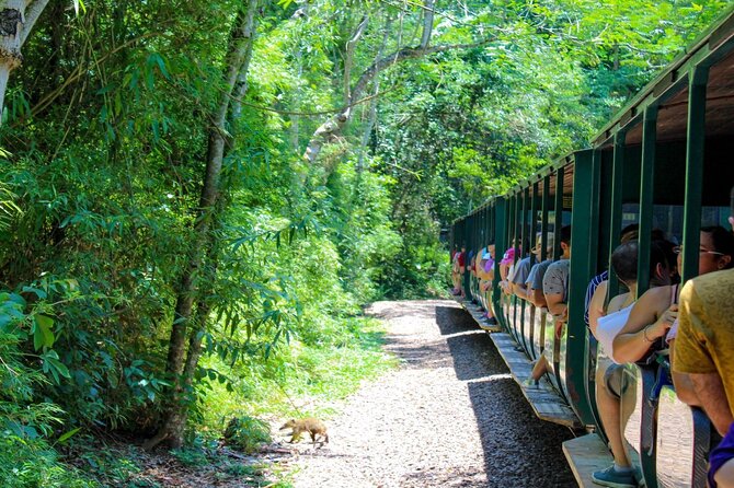 Iguazu Falls: Argentinian Side With Boat Ride, Jungle-Truck and Train - Transportation Logistics