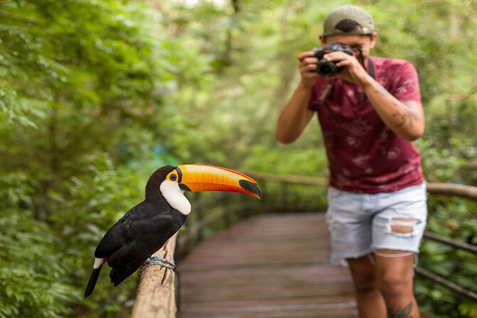 Iguazu Falls Brazilian Side & Bird Park From Puerto Iguazu - Border Crossing