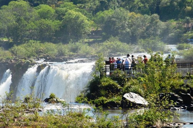 Iguazu Falls From Buenos Aires Cruise Terminal or Downtown Hotel - No Flights - Customer Reviews and Feedback