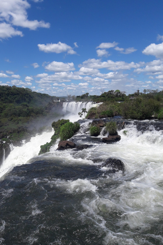 Iguazu Falls: Guided Walking Tour - Argentinean Side - Panoramic Views and Close-ups