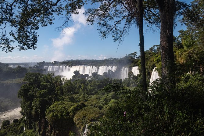 Iguazu Falls, Jungle Activities and Boat Ride From Puerto Iguazú - Important Tour Details and Requirements