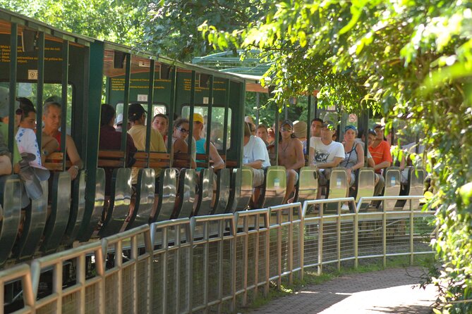 Iguazu Falls Saver Package! Both Sides Excursions & Transfers - Pickup and Transfers