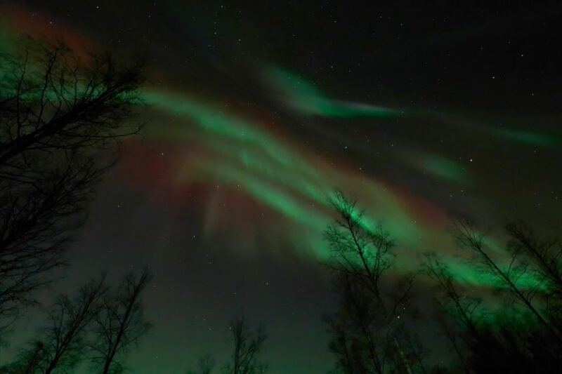 Ii: Snowmobile Sleigh Trip on Frozen Sea Under Starlit Sky - Trip Details