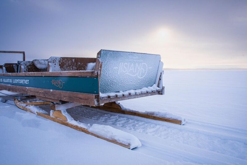 Ii: Snowmobile Sleigh Trip on Frozen Sea Under Starlit Sky - Preparation and Safety