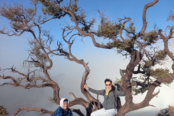 Ijen Blue Fire and Amazing Bromo 3D2N From Surabaya or Yogyakarta - Tour Operator and Feedback