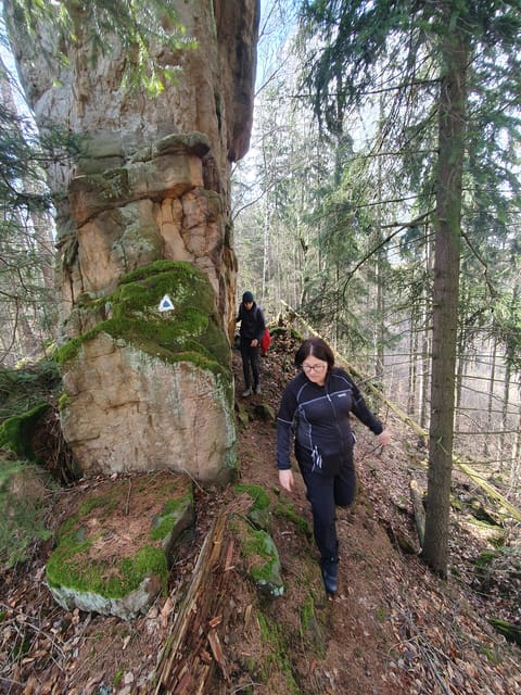 Iking in Table Mountains for KIDS - Booking Information