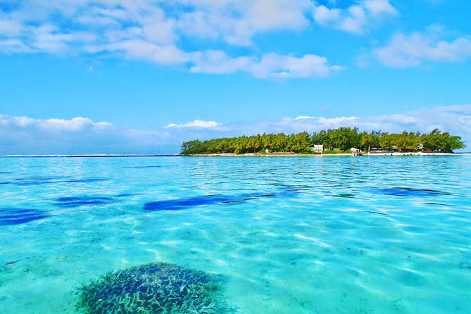 Ile Aux Aigrettes Nature Reserve, Blue Bay Beach, La Vanille Park & Gris Gris - Potential Delays and Stray Dogs