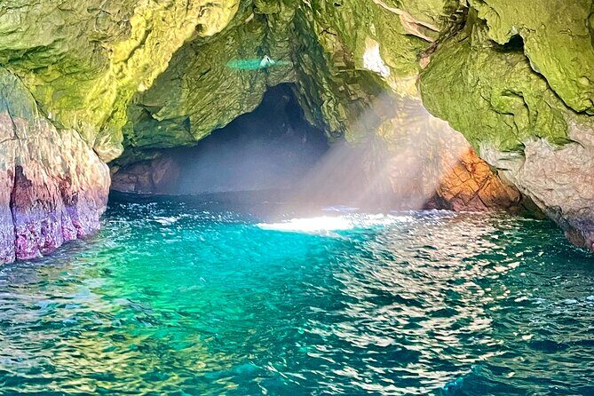 Ile Des Phoques and Maria Island Cruise and Walk Day Tour with Lunch - A Full Breakdown of the Tour Experience