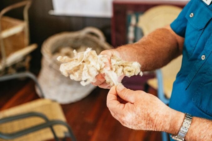 Ilfracombe Tour - Outback Queensland Sheep History