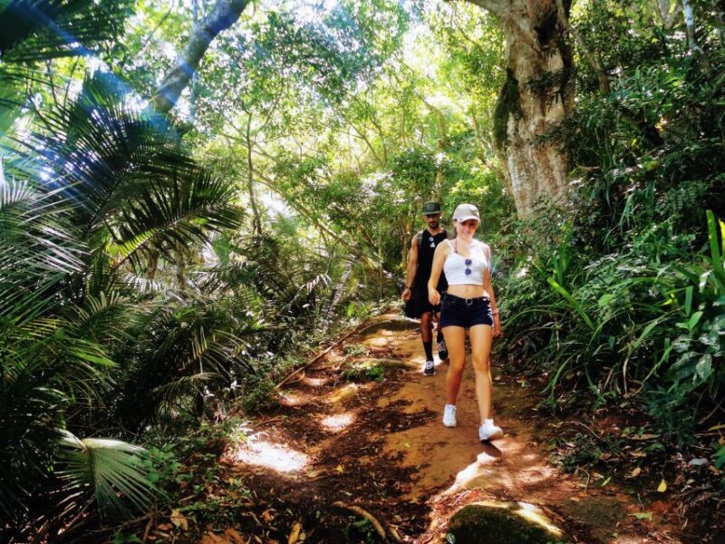 Ilha Grande: Lopes Mendes Private Hiking Tour - Key Points