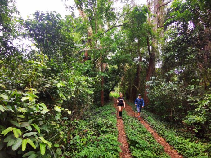 Ilha Grande: Lopes Mendes Private Hiking Tour - Practical Information