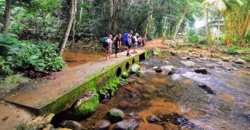 Ilha Grande: Private Hiking With Forest, Beaches & Waterfall - Swim and Sunbathe on Beaches