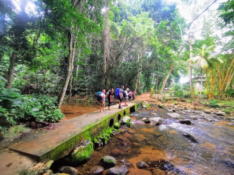 Ilha Grande: Private Hiking With Forest, Beaches & Waterfall - Observe the Exceptional Wildlife