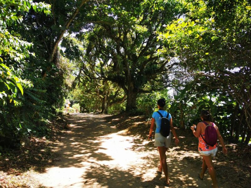 Ilha Grande: Private Historic Walking Tour With Natural Pool - Stunning Natural Beauty