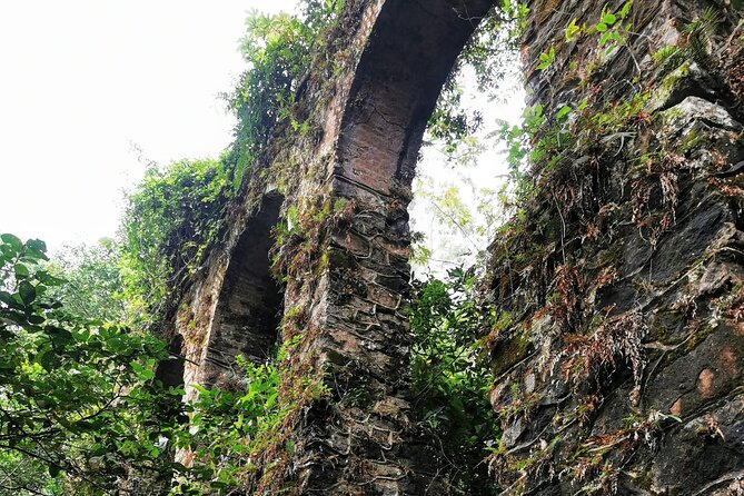 Ilha Grande - Private Historical Walking Tour With Natural Pool. - Pricing and Availability