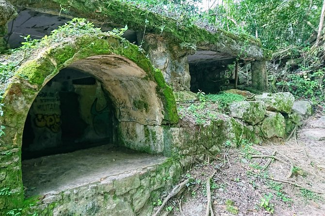 Ilha Grande - Private Historical Walking Tour With Natural Pool. - Reviews and Feedback