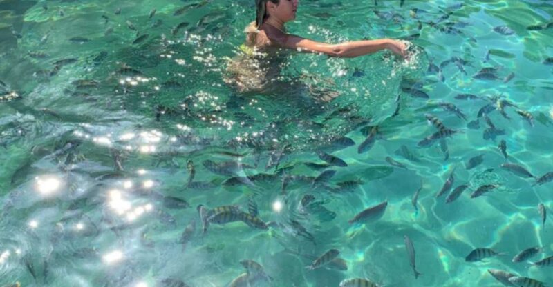 Ilha Grande: Swim With the Little Fish in the Blue and Green Lagoons. - Exploring the Blue Lagoon