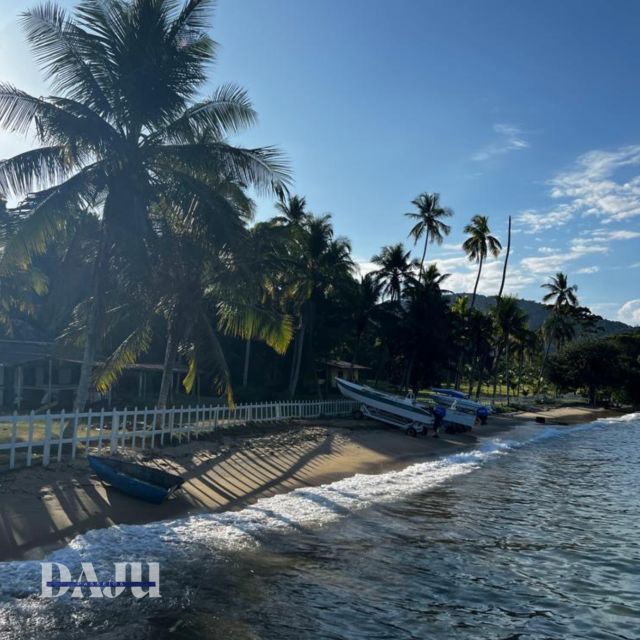 Ilha Grande: Swim With the Little Fish in the Blue and Green Lagoons. - Lunch and Beach Stop