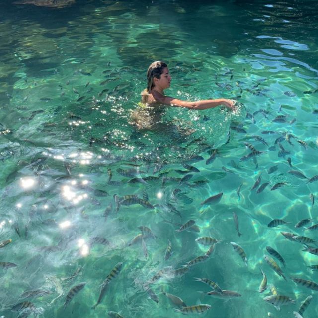 Ilha Grande: Swim With the Little Fish in the Blue and Green Lagoons. - Frequently Asked Questions