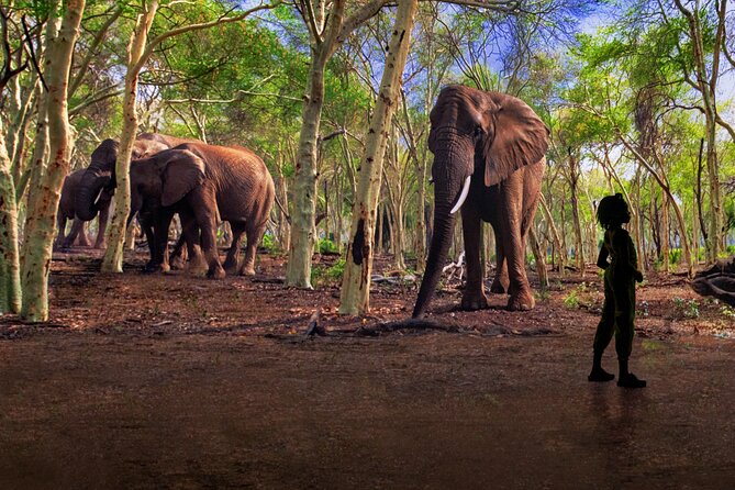 Illuminarium Las Vegas - Booking Confirmation and Cancellation