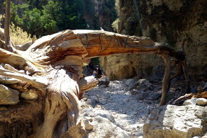 Imbros Gorge Adventure Day Trip From Chania - Cancellation Policy