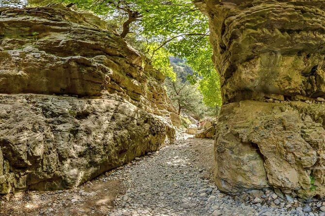 Imbros Gorge and Libyan Sea Day Tour From Rethymno - Guide Languages and Group Size