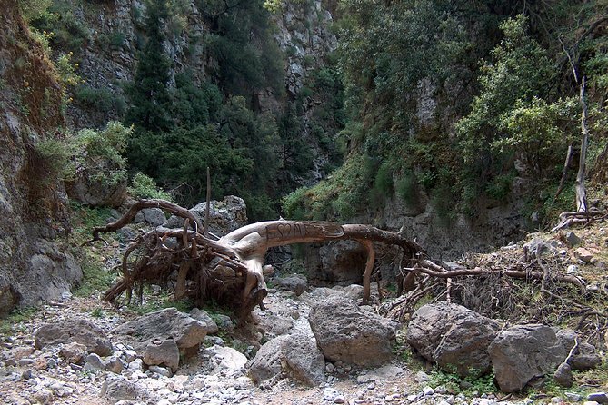 Imbros Gorge and Libyan Sea Day Tour From Rethymno - Inclusions and Exclusions