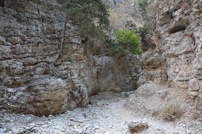 Imbros Gorge & Frangokastello - From Rethymno With the Best Guide - Lunch and Refreshments