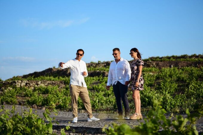 Imerovigli: Premium Wine Tasting With Caldera and Sea Views - Extended Stay Options