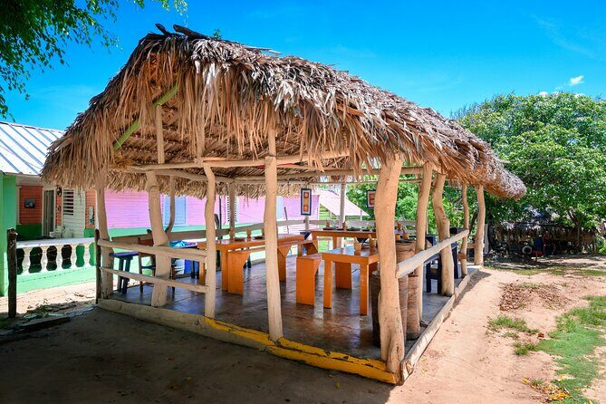 Immerse in Dominican Culture: Private Community Tour - Who Will Love This Tour?