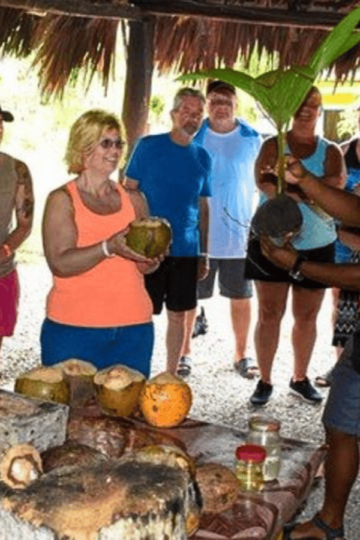 Immerse Yourself in the Culture: Half-Day Tour to Higüey - Key Points