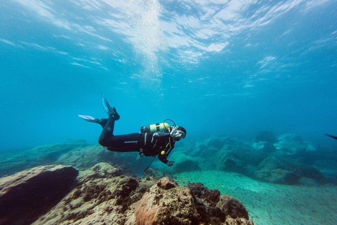 Immersion Certified Diver - Key Points