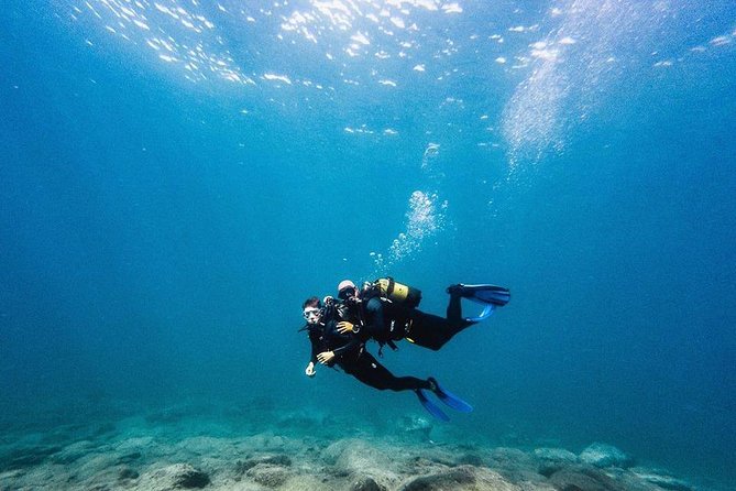 Immersion Certified Diver - Guided Dive Experiences