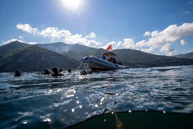 Immersion in Banco Santa Croce From Sorrento With Expert Guide - Tour Inclusions and Pricing