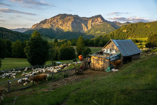 Immersive 2-Day Tour/Homestay With Shepherds in the Albanian Alps - Taking in the Alpine Landscape