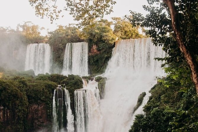 Immersive Iguazú Falls In One Day: Guided Walk, Train Ride & Boat - Guided Walk Through the Park