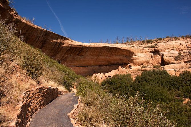 Immersive Mesa Verde National Park Tour With Guide - Accessibility and Service Animals
