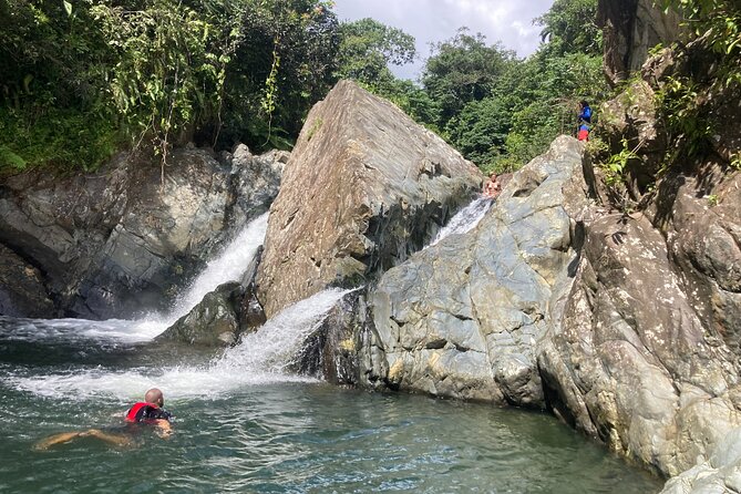 Immersive Small Group Rainforest Adventure With Transportation - Tour Overview
