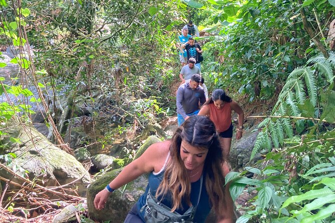 Immersive Small Group Rainforest Adventure With Transportation - Customer Reviews