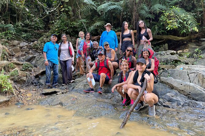 Immersive Small Group Rainforest Adventure With Transportation - Natural Wonders