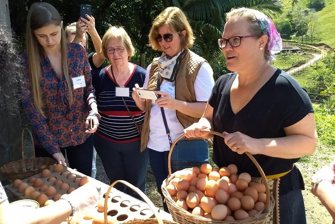 Immigrant Route - Colonial Flavors - Tasting Handcrafted Sweets and Jellies