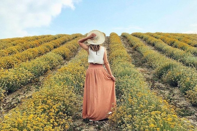Immortelle Farm Island Krk - Key Points