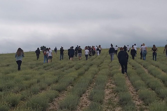 Immortelle Farm Island Krk - Accessibility and Participation